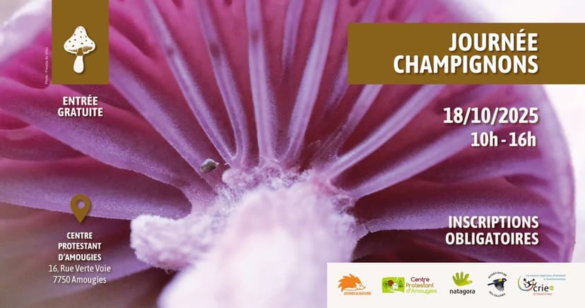 Journée Champignons