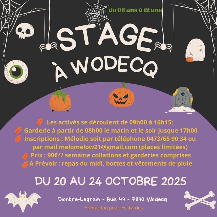 Stage à Wodecq